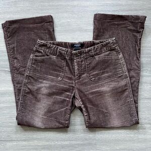 Express Chocolate Brown Stretch Jeans